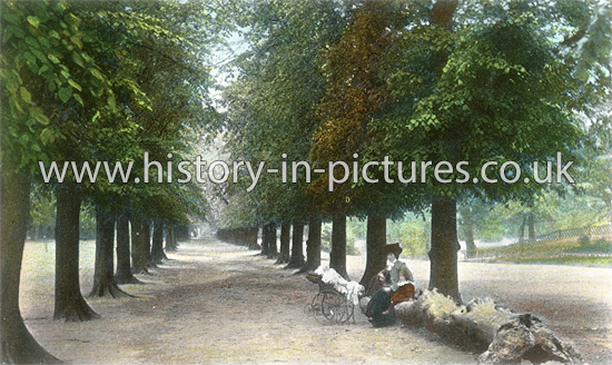The Avenue, Bushwood, Leytonstone, London. c.1907